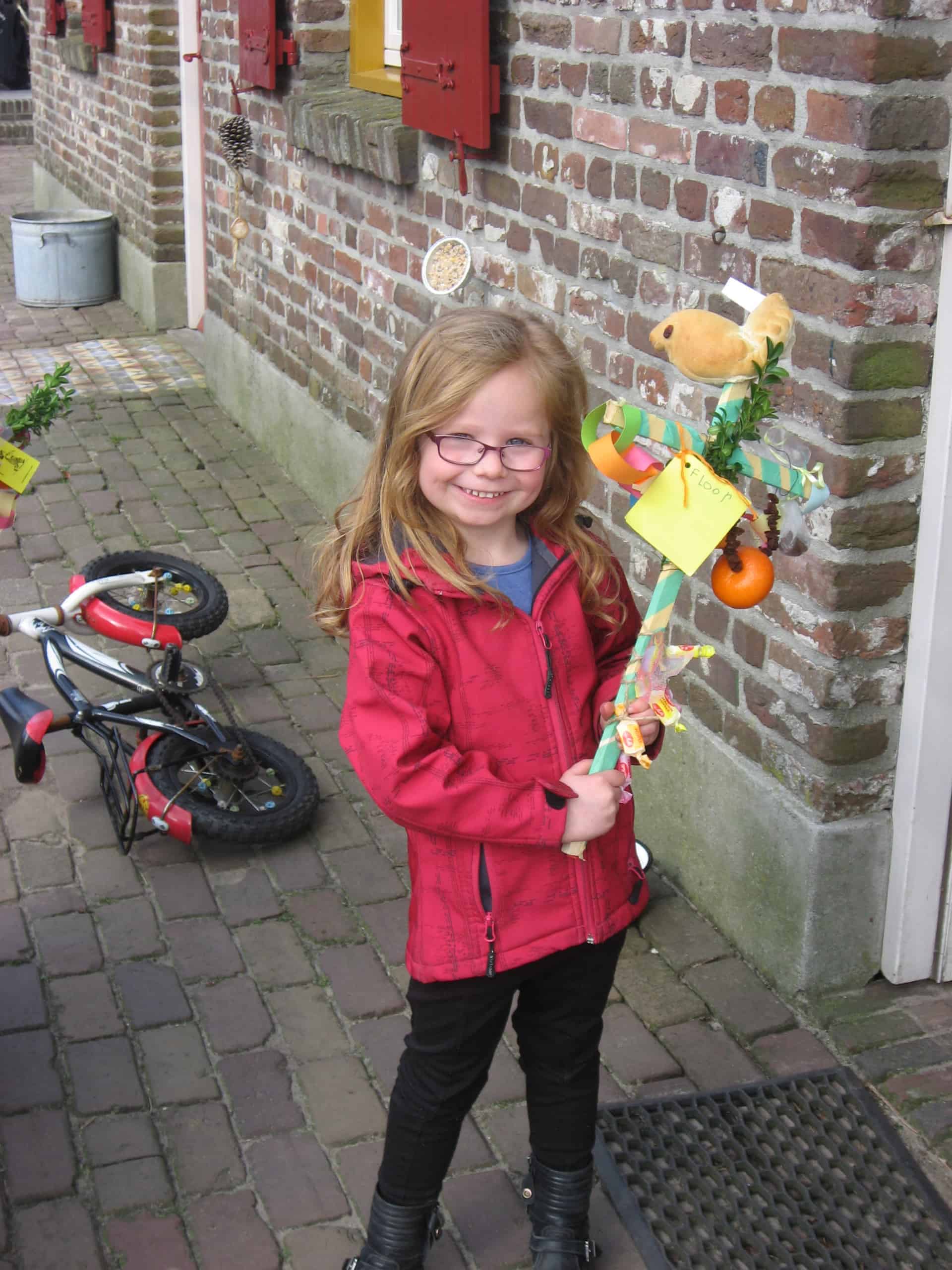 Het haantje en de pelikaan