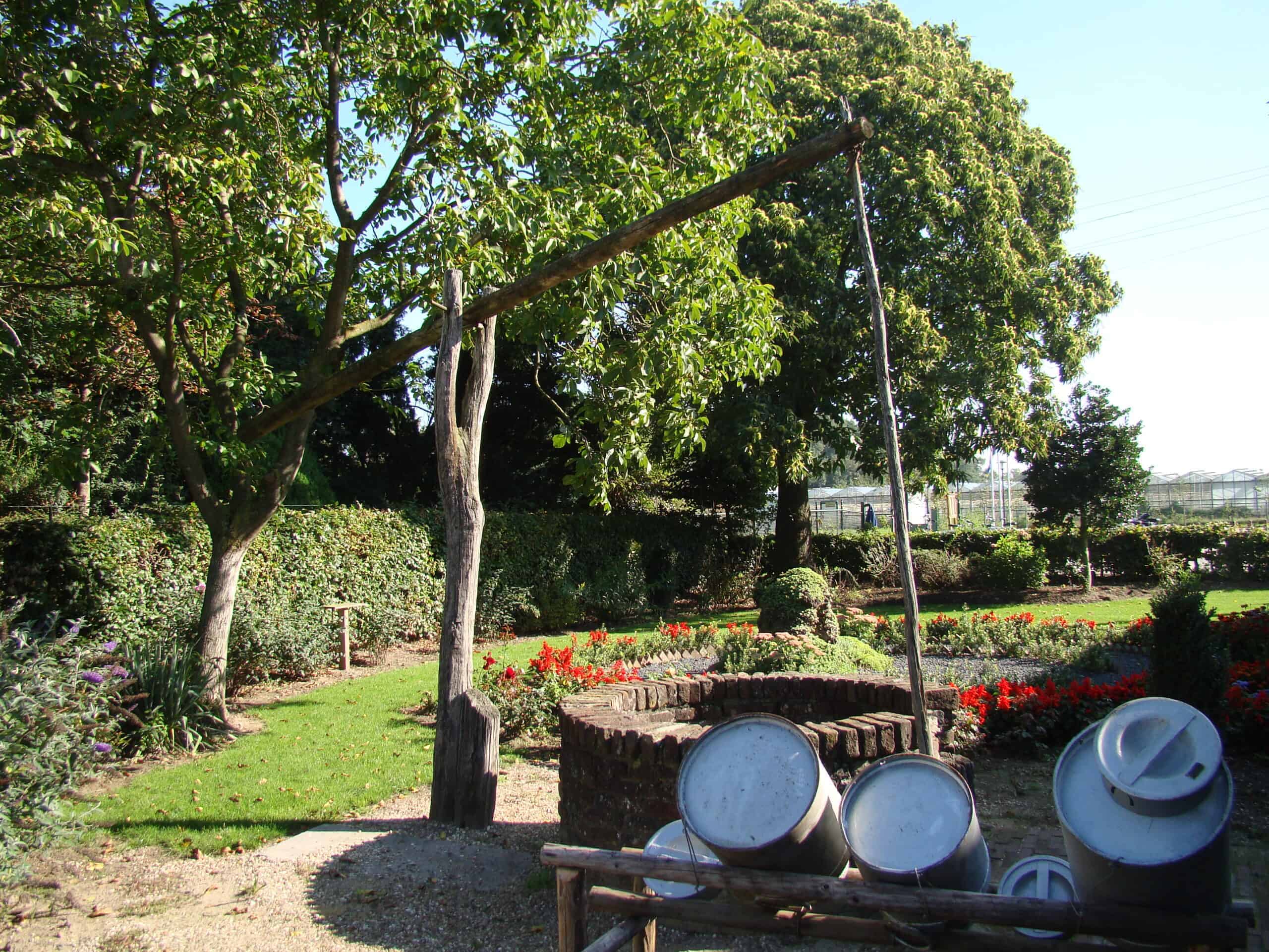 Het ‘wonder’ bij de Mariagrot