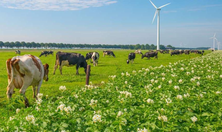 Herhaalt de geschiedenis zich?